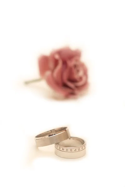 Wedding Rings and Flower — Stock Photo, Image