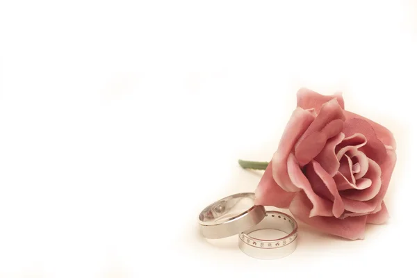 Rings and Flower — Stock Photo, Image