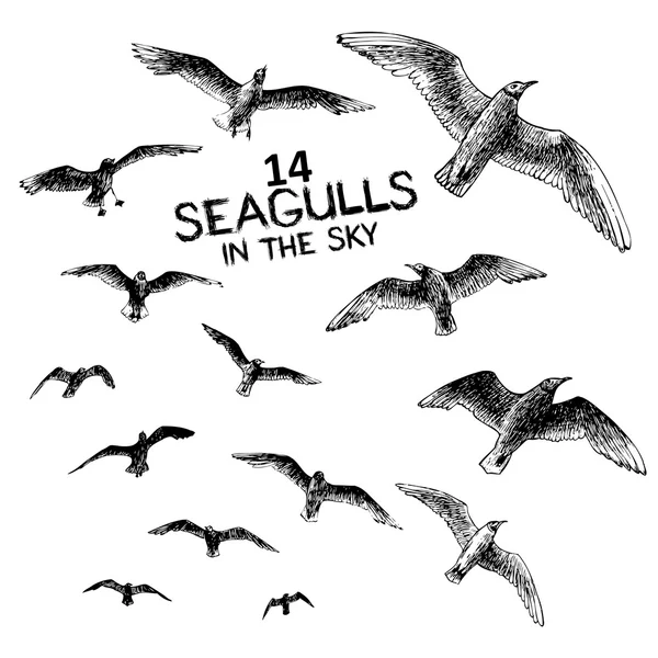 14 seagulls in the sky illustration — Stock Vector