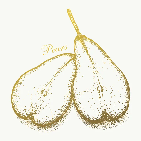 Hand drawn pair of pears — Stock Vector