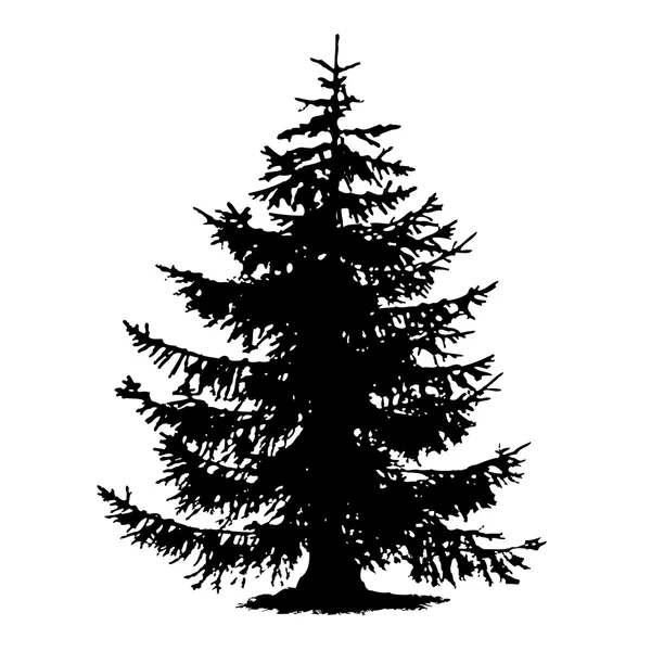 Kara Ladin ağacı — Stok Vektör