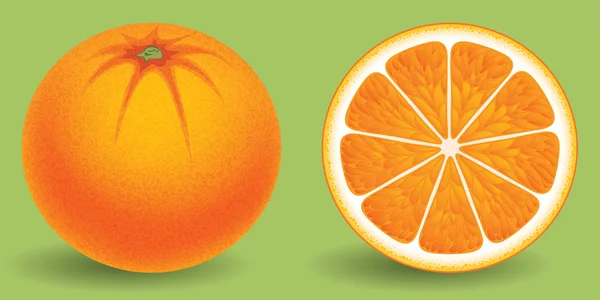 Naranja y mitad de naranja — Vector de stock