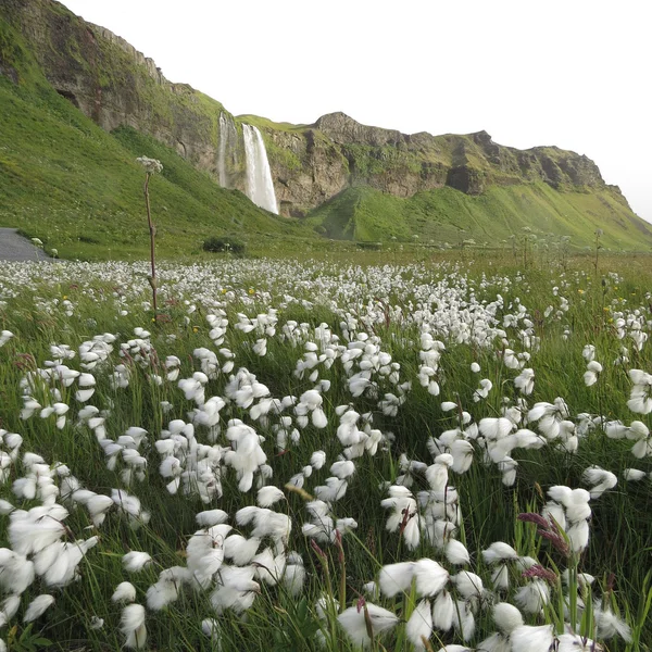 Islandia — Foto de Stock