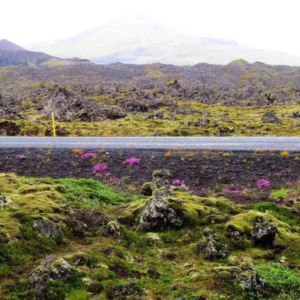 Iceland megye — Stock Fotó