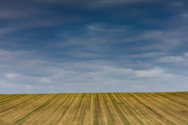 Sonbahar tarlalarında dramatik bulutlar