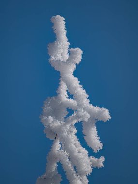 Açık mavi gökyüzüne karşı bir dalda karışık buz desenleri