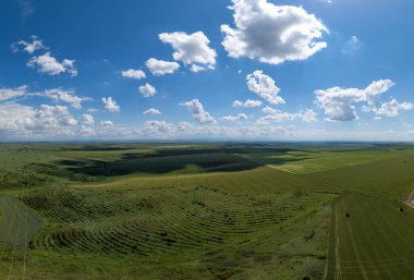 Geniş yeşil tarımsal alanlar engin mavi gökyüzünün altında tüylü beyaz bulutlarla