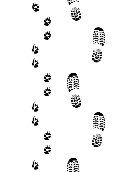 Shoes and paws — Stock Vector