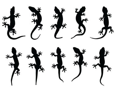 Beyaz arka planda siyah kertenkele siluetleri