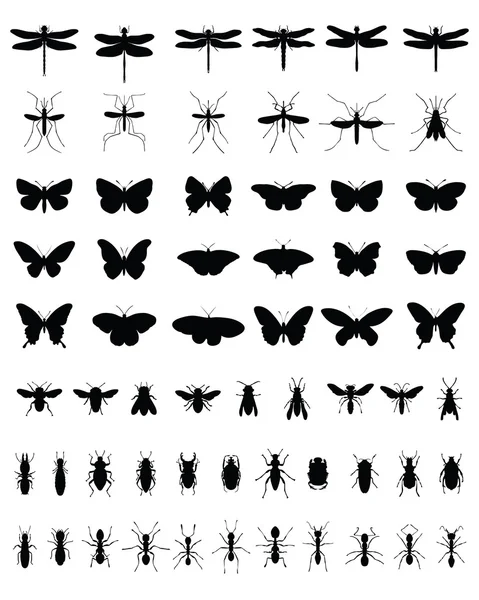 Insectos 2 — Archivo Imágenes Vectoriales