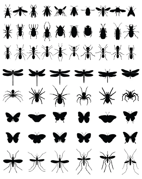 Insectos — Vector de stock