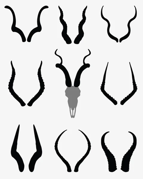Cornes d'antilopes — Image vectorielle
