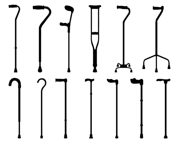 Paus —  Vetores de Stock