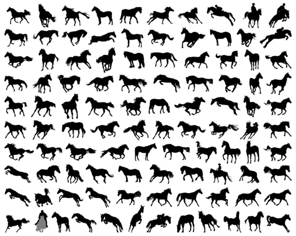 Horses — Stock Vector