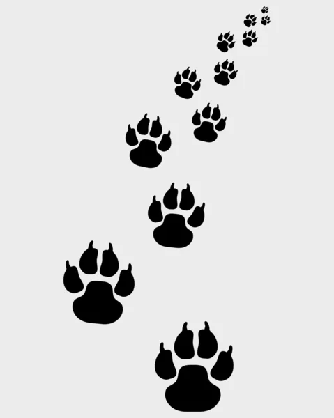 Footprints of dogs 3 — Stock Vector