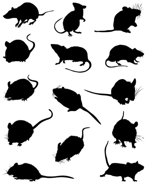 Los ratones — Archivo Imágenes Vectoriales