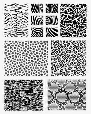 Animal skins vector
