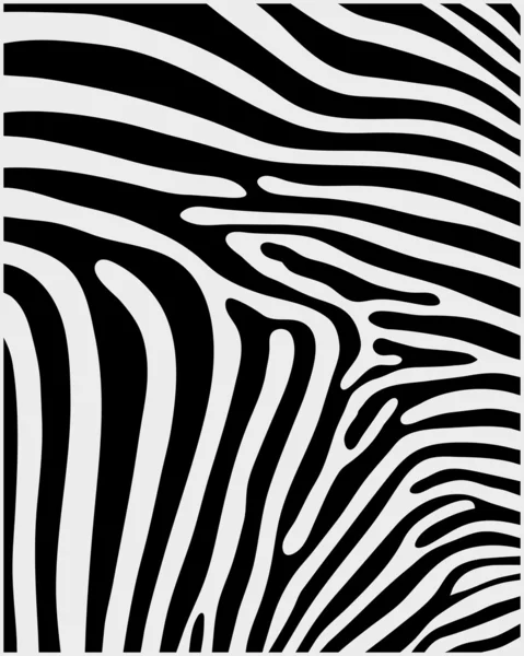 Huid van zebra — Stockvector