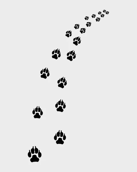 Trail of dog — Stock Vector