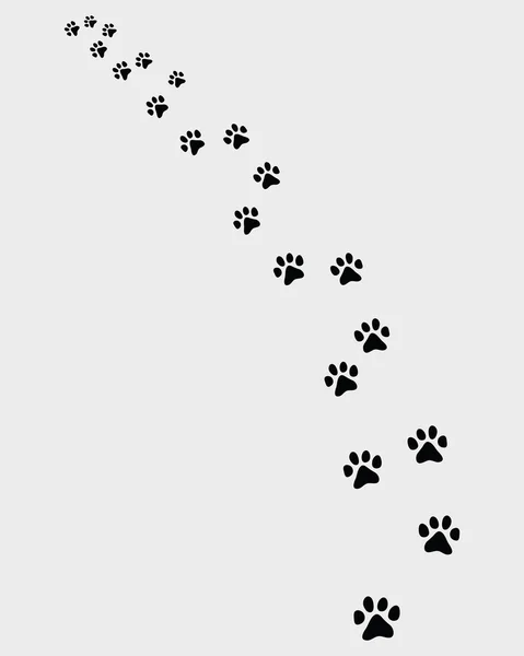 Trail of cat — Stock Vector