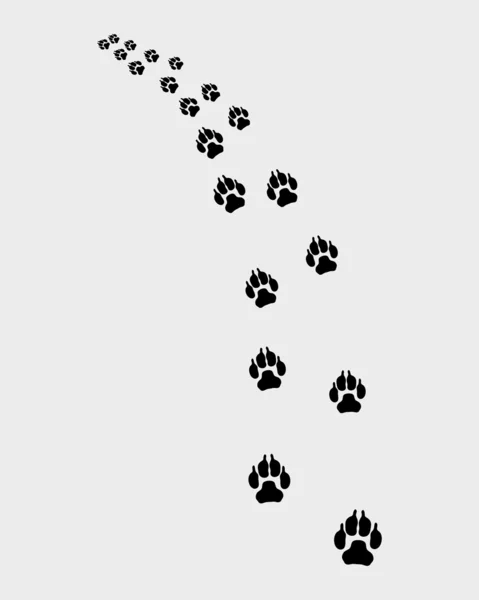 Trail of dog — Stock Vector
