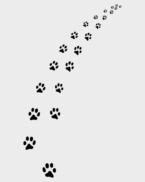Sentier des chats — Image vectorielle
