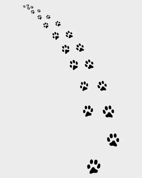 Trail of cat — Stock Vector