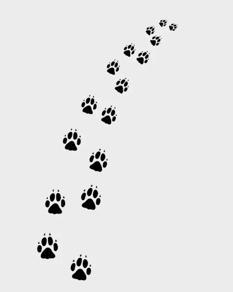 Footprints of dog — Stock Vector