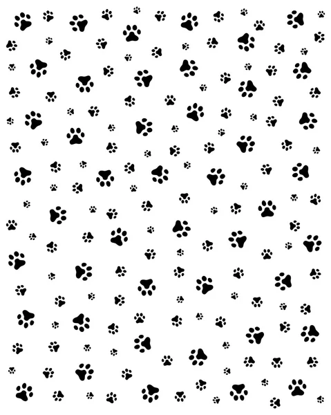 İzini sürmek-in cats