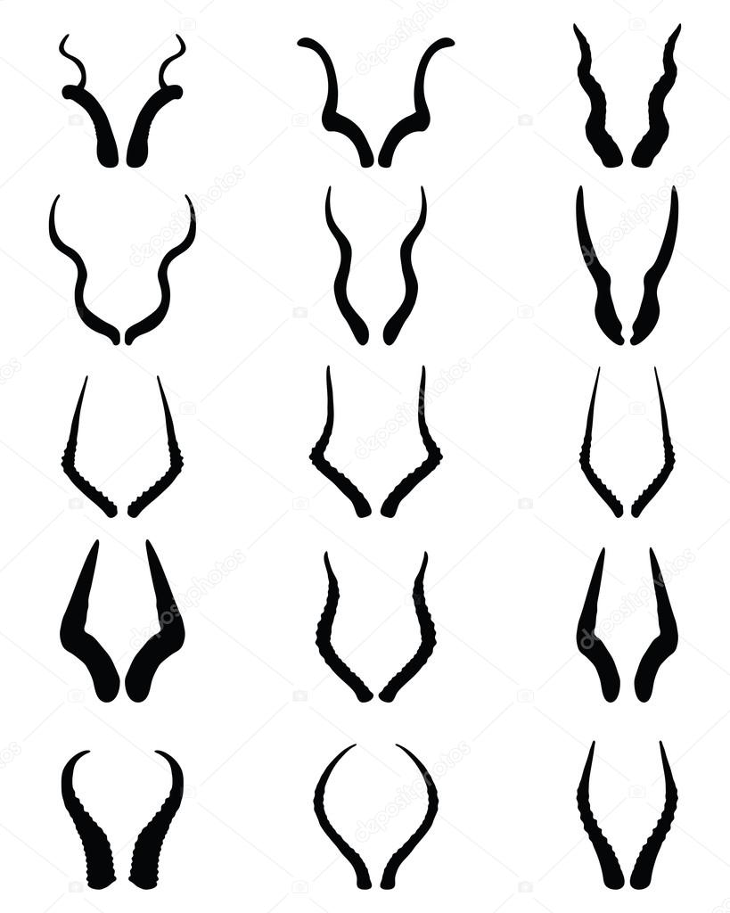 Horns of antelopes