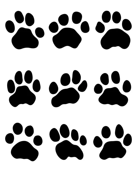 Tiger paw — Stockvector