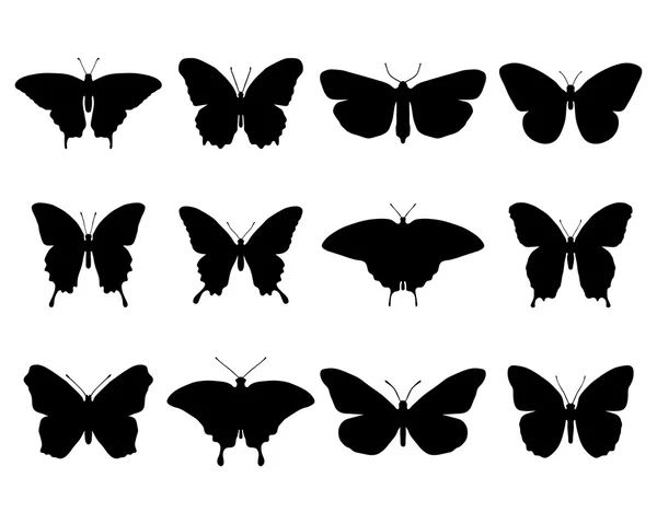 Papillons — Image vectorielle