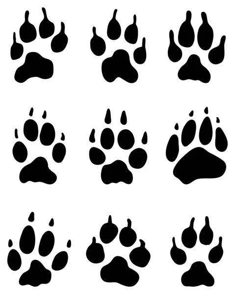 Wolf paw — Stock Vector