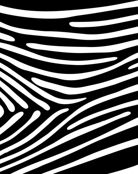 Huid van zebra — Stockvector