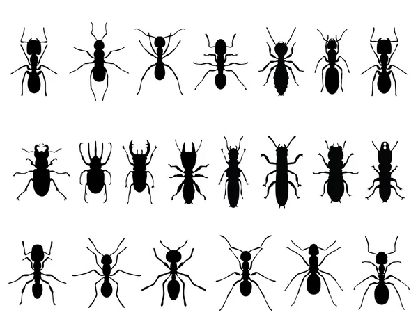 Hormigas y termitas — Archivo Imágenes Vectoriales