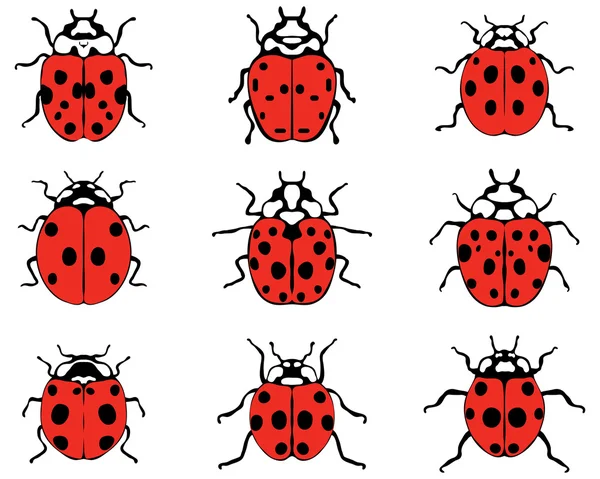 Χαρούμενα ladybugs διάνυσμα — Διανυσματικό Αρχείο