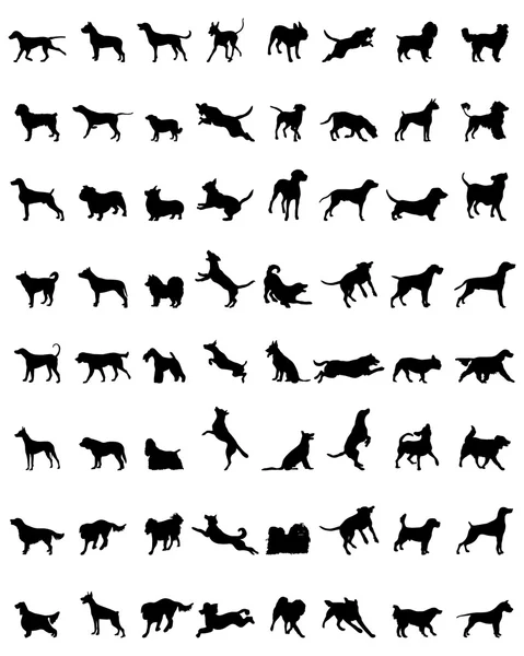 Silhouettes of dogs — Stock Vector