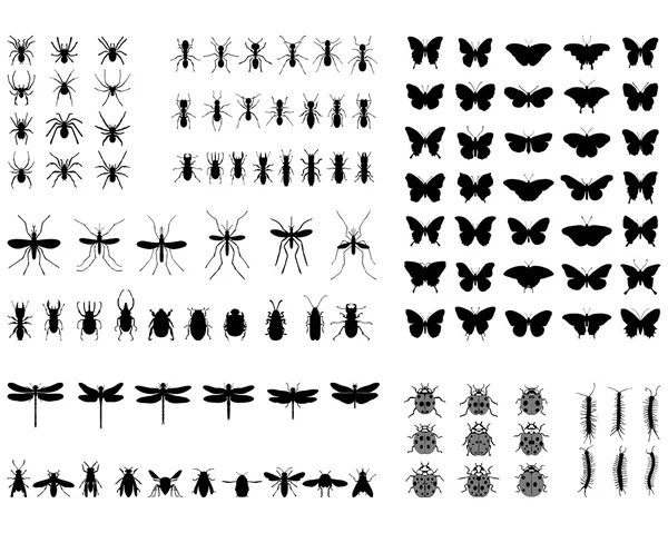 Silhouettes d'insectes — Image vectorielle