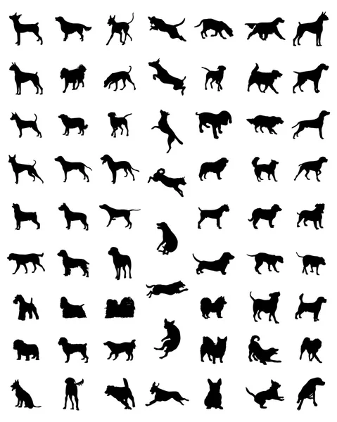 Races de chiens — Image vectorielle