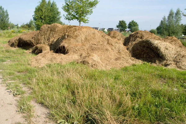 Hooiberg Gemaaid Gras Bij Een Woonwijk Arnhem Nederland — Stockfoto