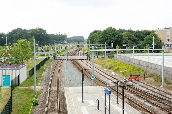 Molti Binari Ferroviari Piattaforme Alla Stazione Dieren Nei Paesi Bassi — Foto Stock