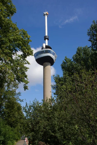 Euromast Toren Tussen Bomen Rotterdam Nederland — Stockfoto