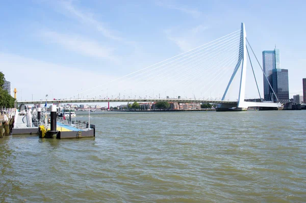 Erasmusbrug Στο Κέντρο Του Ρότερνταμ Πάνω Από Τον Ποταμό Nieuwe — Φωτογραφία Αρχείου