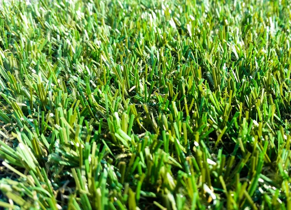 Astroturf much appreciated by manufacturers less appreciated by — Stock Photo, Image