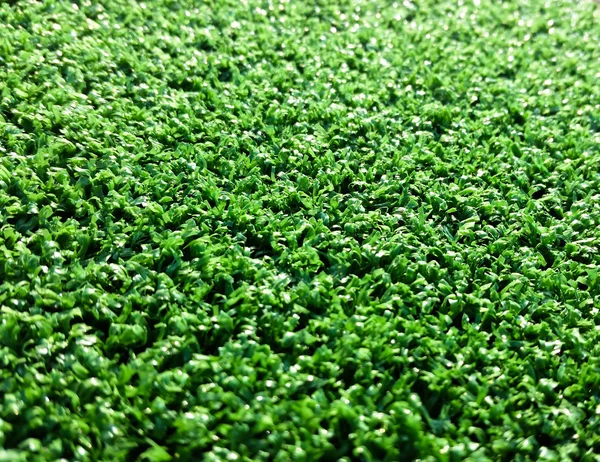 Astroturf molto apprezzato dai produttori meno apprezzati da — Foto Stock