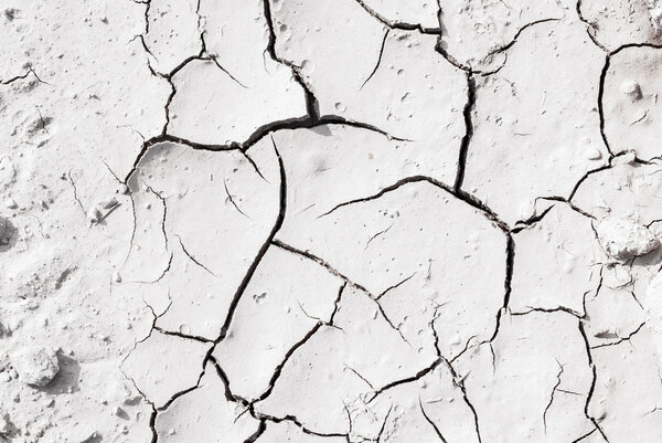 Засушливые земли