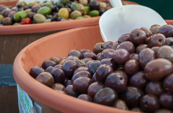 Măsline mediteraneene — Fotografie, imagine de stoc