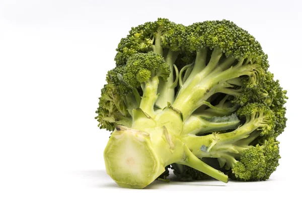 Broccoli da vicino isolati su sfondo bianco con spazio di copia — Foto Stock