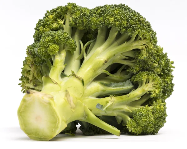 Broccoli geïsoleerd op witte achtergrond — Stockfoto