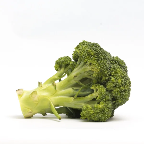 Broccoli isolati su fondo bianco — Foto Stock